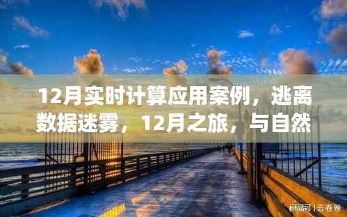 12月实时计算应用案例,数据迷雾中的逃离之旅与自然美景的实时对话