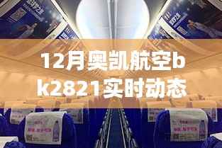 奥凯航空BK2821航班十二月实时动态与运营影响解析