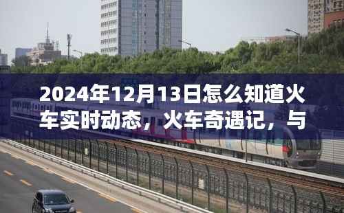 火车奇遇记,实时追踪与时光同行的温馨火车动态