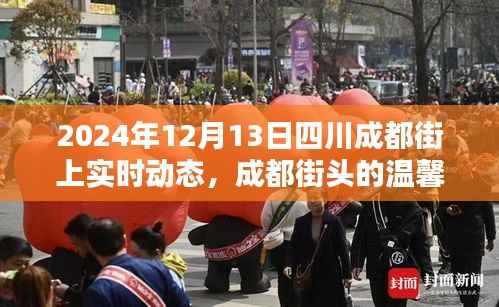 成都街头温馨日常,奇遇与陪伴的暖心瞬间