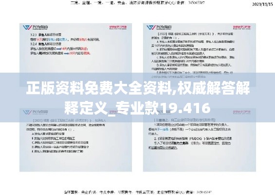 正版资料免费大全资料,权威解答解释定义_专业款19.416