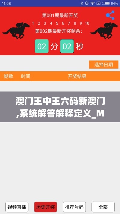 澳门王中王六码新澳门,系统解答解释定义_MP6.291