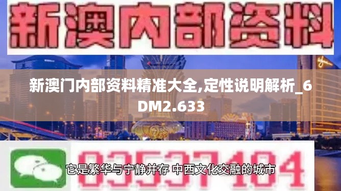 新澳门内部资料精准大全,定性说明解析_6DM2.633