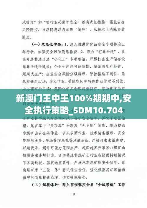 新澳门王中王100%期期中,安全执行策略_5DM10.704