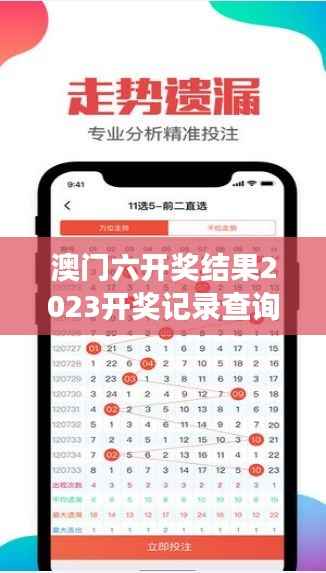 澳门六开奖结果2023开奖记录查询网站：一站式服务提升赌城竞猜游戏乐趣