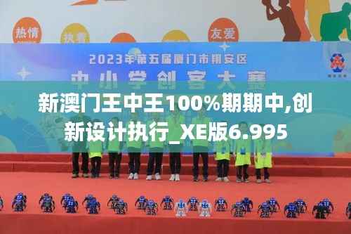 新澳门王中王100%期期中,创新设计执行_XE版6.995