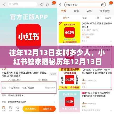 小红书独家揭秘,历年12月13日实时人数大盘点!