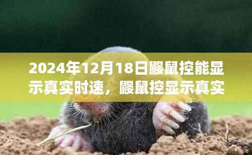 鼹鼠控显示真实时速,技术进步的双刃剑效应揭秘
