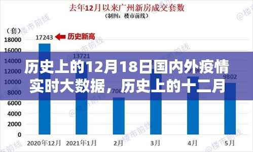 历史上的12月18日国内外疫情实时大数据回顾,疫情发展及其影响
