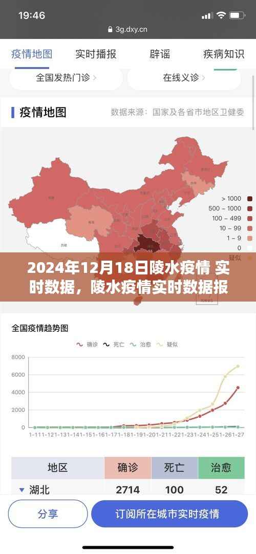 2024年12月18日陵水疫情实时数据报告,关键信息聚焦