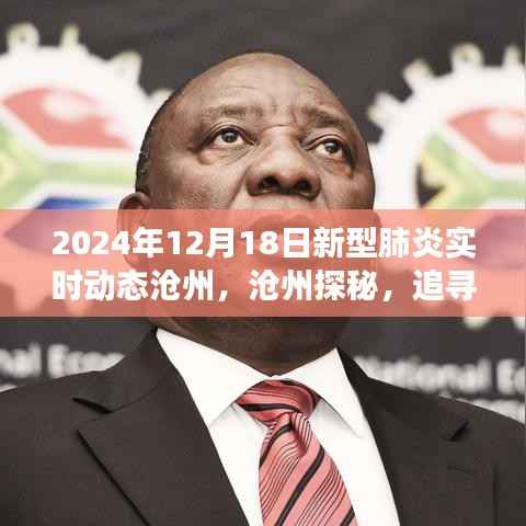 沧州新型肺炎实时动态与探寻自然美景之旅,拥抱宁静微笑