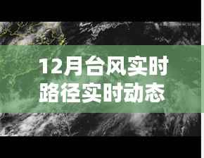 十二月台风路径动态图揭秘,风暴影响力与实时路径追踪