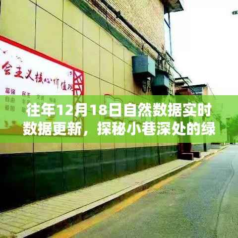 探秘绿色数据宝藏,特色小店与自然数据实时共舞,小巷深处的最新更新动态