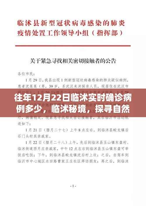 临沭实时确诊病例更新及秘境自然美景探寻之旅，重拾内心的宁静与和谐