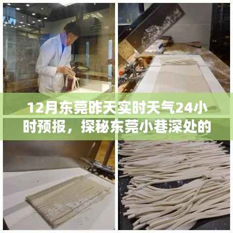 探秘东莞小巷深处的天气秘境,特色小店实时故事与天气预报