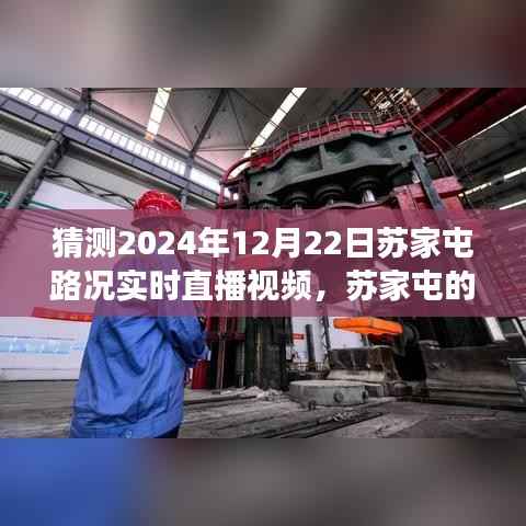 苏家屯路况实时直播,探索神秘小巷的特色小店,预测未来路况之旅