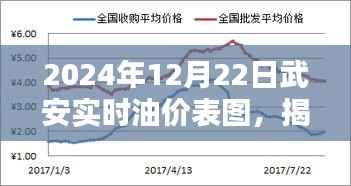 揭秘武安油价走势,最新油价表图与解析(2024年12月22日)