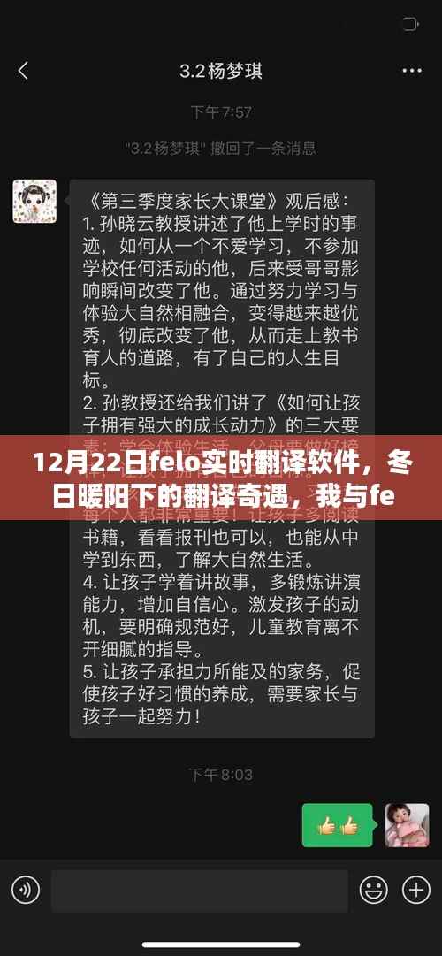 我与felo实时翻译软件的冬日奇缘,翻译奇遇与温馨日常