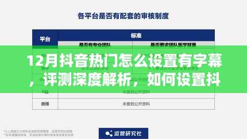 深度解析,如何设置抖音热门字幕视频——以12月为例的实用指南与评测总结