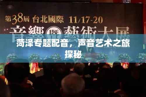 菏泽专题配音,声音艺术之旅探秘