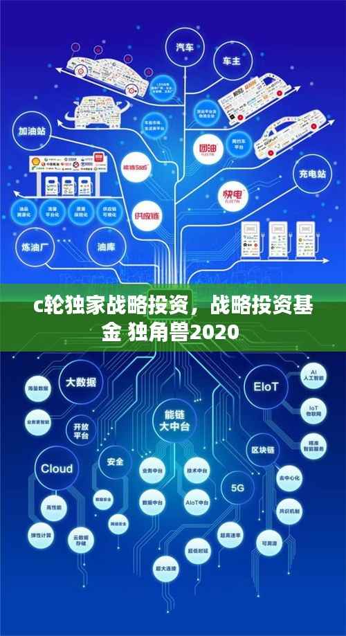 c轮独家战略投资,战略投资基金 独角兽2020