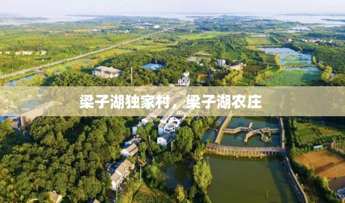 梁子湖独家村,梁子湖农庄