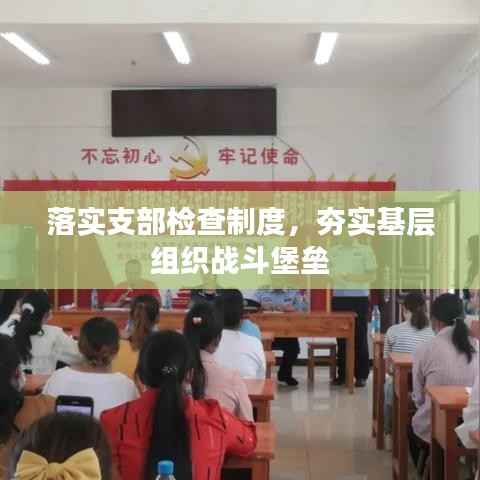 落实支部检查制度，夯实基层组织战斗堡垒
