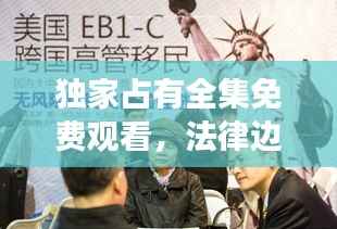 独家占有全集免费观看,法律边缘灰色地带的探索之旅