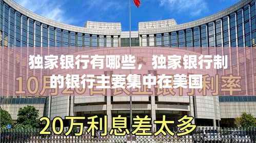独家银行有哪些,独家银行制的银行主要集中在美国