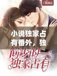 小说独家占有番外,独家占有小说最后没看懂