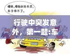 行驶中突发意外,第一题:车辆行驶中突发紧急情况该如何避险?