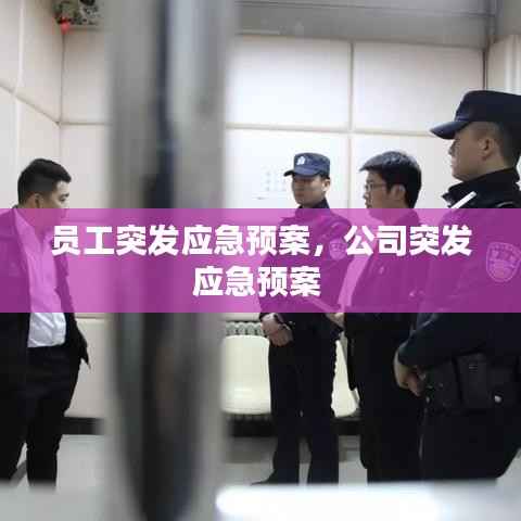 员工突发应急预案,公司突发应急预案