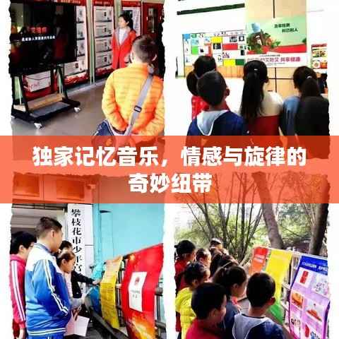 独家记忆音乐,情感与旋律的奇妙纽带