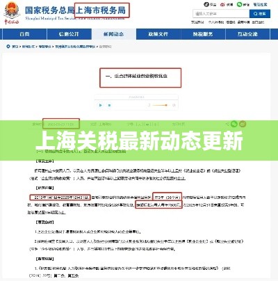 上海关税最新动态更新