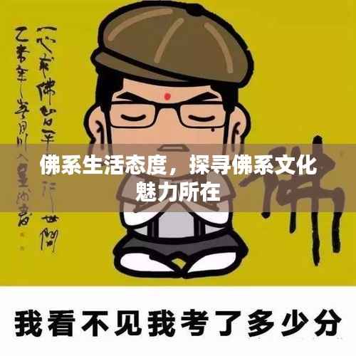 佛系生活态度,探寻佛系文化魅力所在