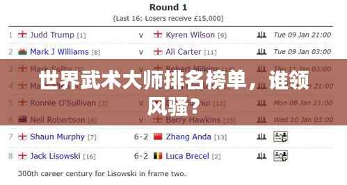 世界武术大师排名榜单,谁领风骚?