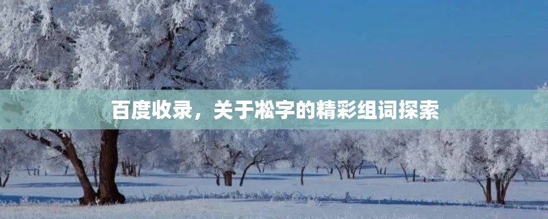 百度收录,关于凇字的精彩组词探索