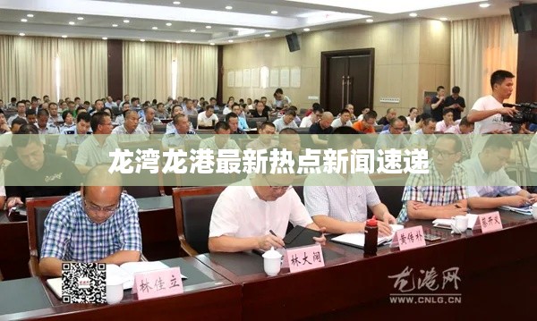 龙湾龙港最新热点新闻速递