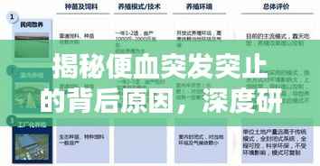 揭秘便血突发突止的背后原因,深度研究与探讨