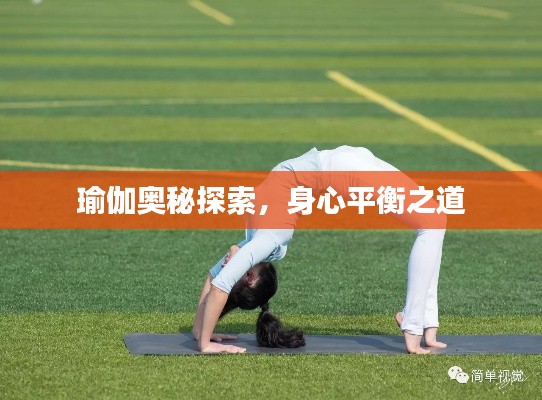 瑜伽奥秘探索,身心平衡之道