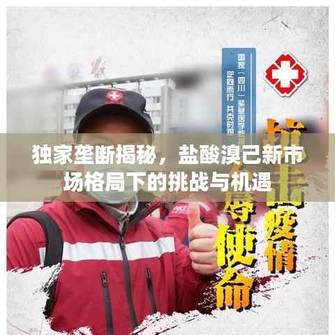 独家垄断揭秘,盐酸溴己新市场格局下的挑战与机遇