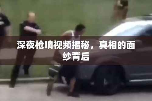 深夜枪响视频揭秘，真相的面纱背后