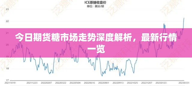 今日期货糖市场走势深度解析，最新行情一览