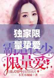 独家限量挚爱,一部独特的小说探秘之旅