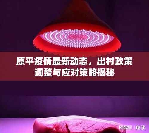 原平疫情最新动态,出村政策调整与应对策略揭秘