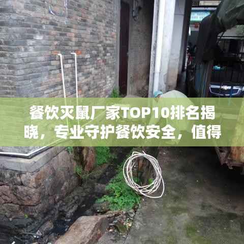 餐饮灭鼠厂家TOP10排名揭晓,专业守护餐饮安全,值得信赖的选择!