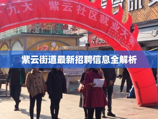 紫云街道最新招聘信息全解析