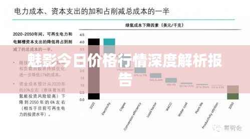 魅影今日价格行情深度解析报告
