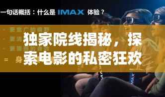 独家院线揭秘,探索电影的私密狂欢之夜