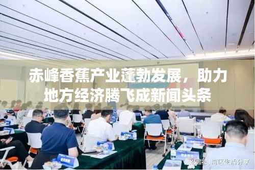 赤峰香蕉产业蓬勃发展,助力地方经济腾飞成新闻头条